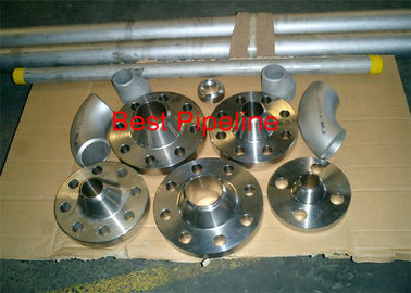 EN 1092-1 Forged Steel Flanges Lap Joint DIN 2573 300LBS Pressure 304L Material